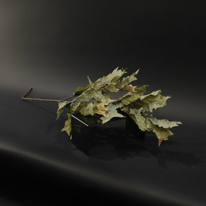 HFL10847 - LS Green Maple Branch