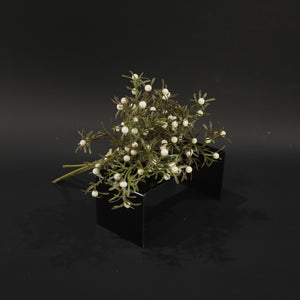 HFL10848 - White Box Holly Bq