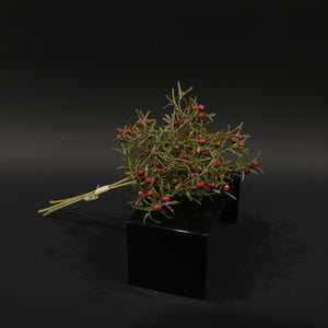 HFL10849 - Red Box Holly Bq