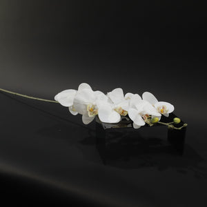 HFL10869 - LS Small White Orchid