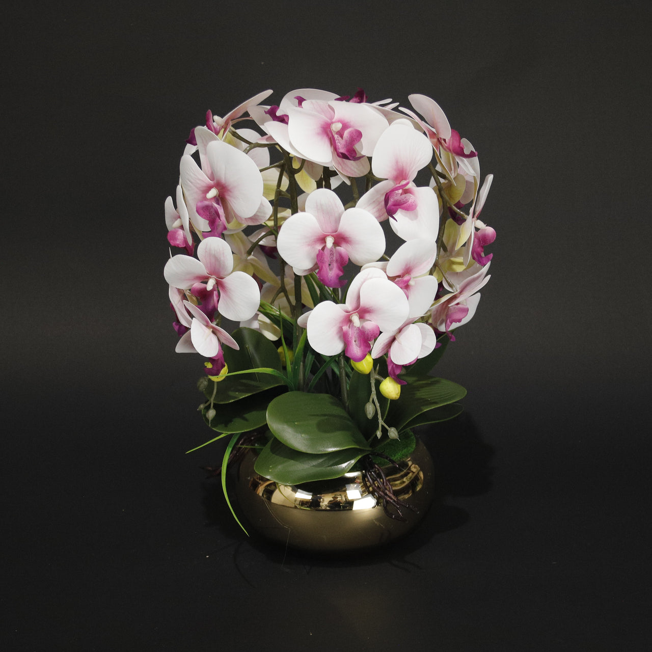 HFL10881 - M Pink Orchid Gold Pot Plant