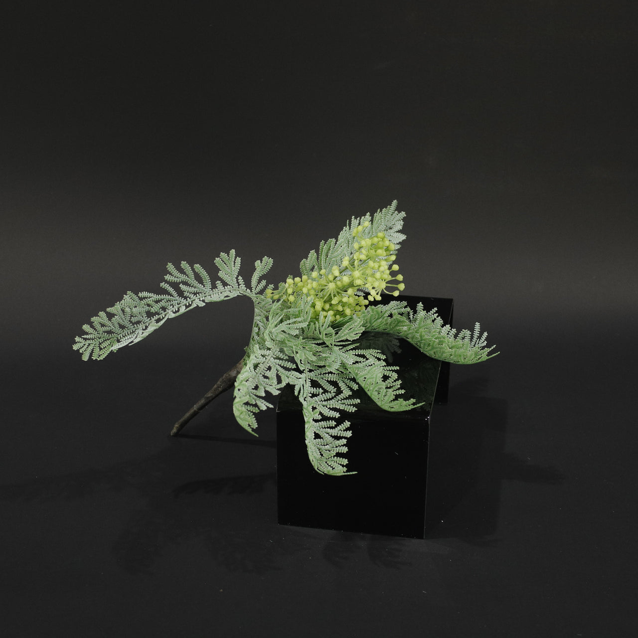 HFL10886 - Green Yarrow Bq