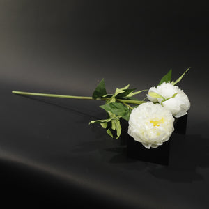 HFL11149 - LS Soft White Open Peonies