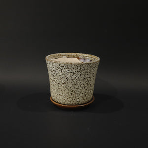 HHD10999 - M Speckled Cream Tulip Pot