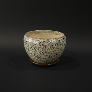 HHD11008 - M Speckled Cream Round Pot