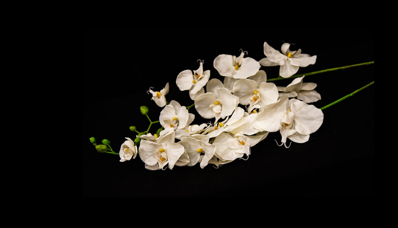 HCFL5294 - White Long Stem Double Orchid