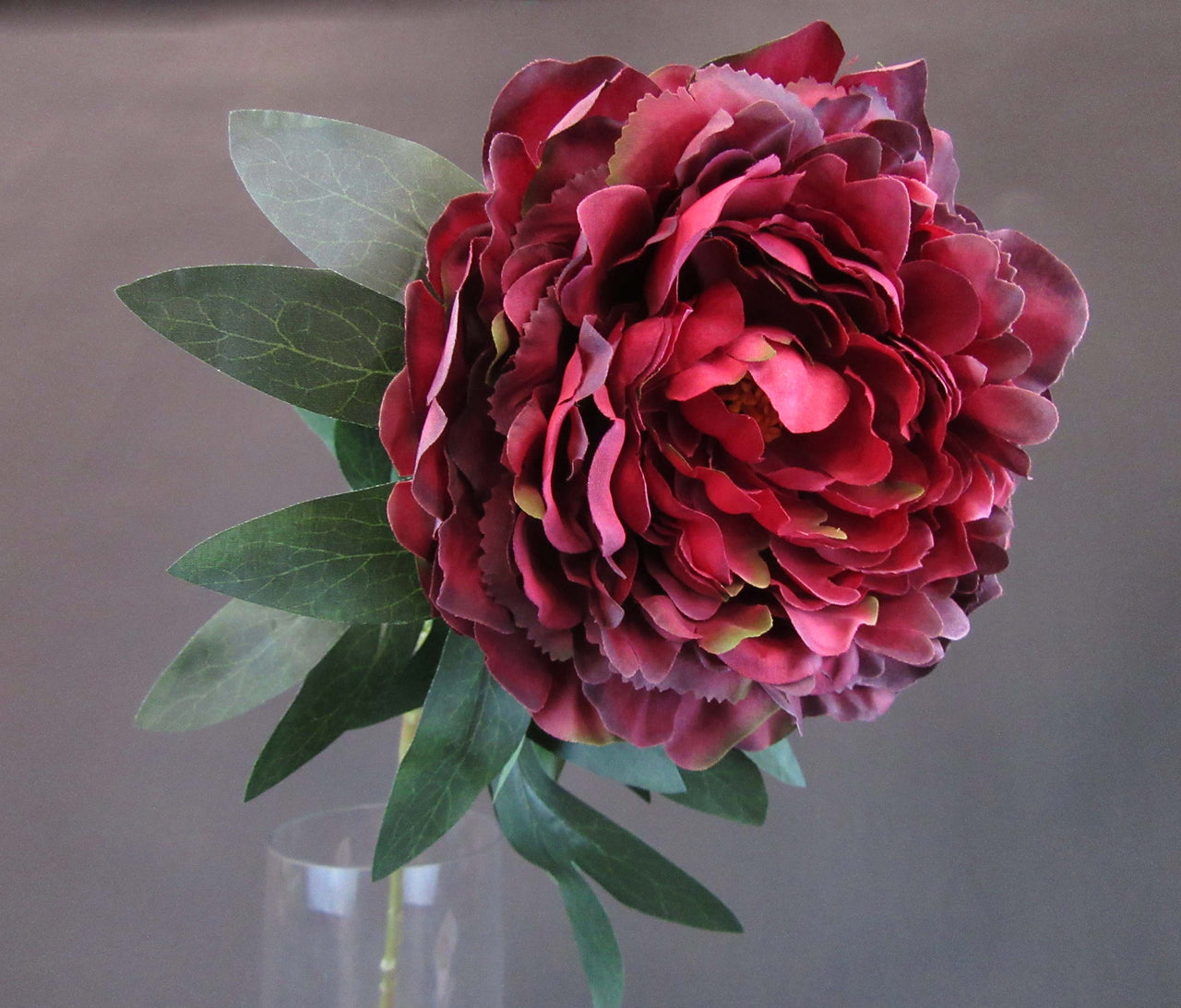 HCFL5628 - Long Stem Burgundy Double Peony