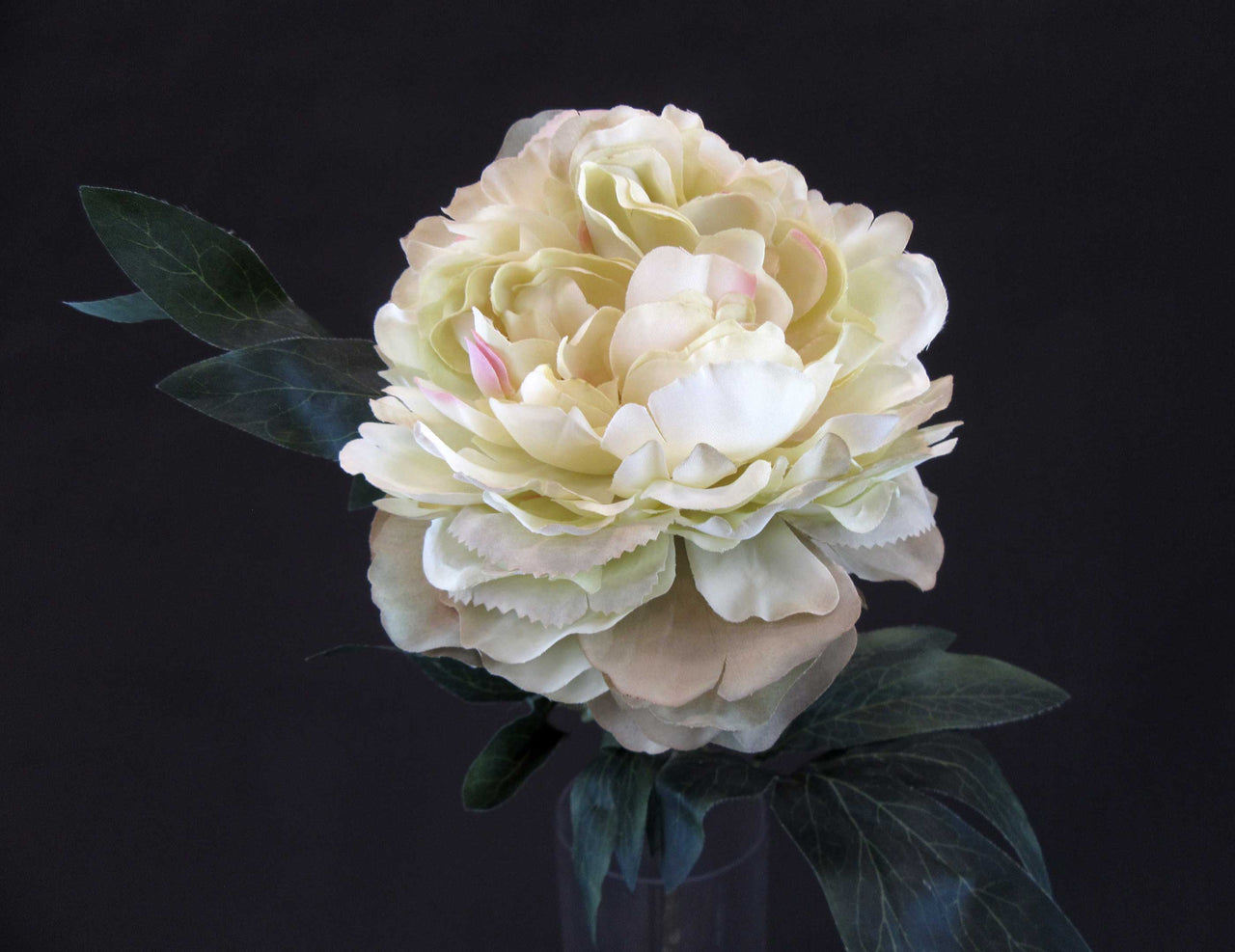 HCFL5630 - Long Stem Green Double Peony