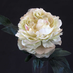 HCFL5630 - Long Stem Green Double Peony