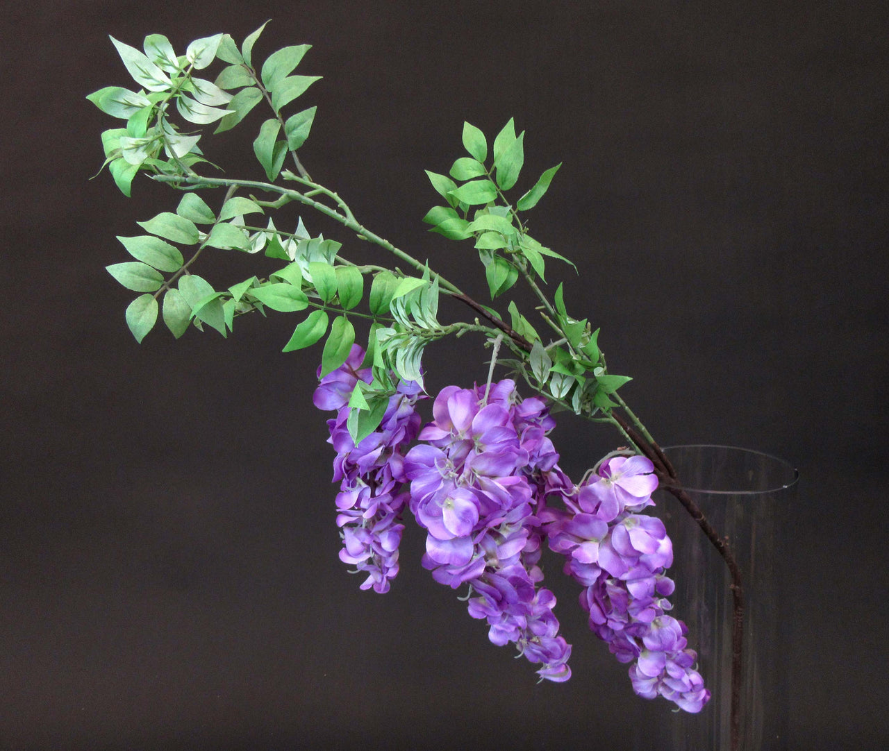 HCFL5644 - Long Stem 5 Bud Purple Wisteria