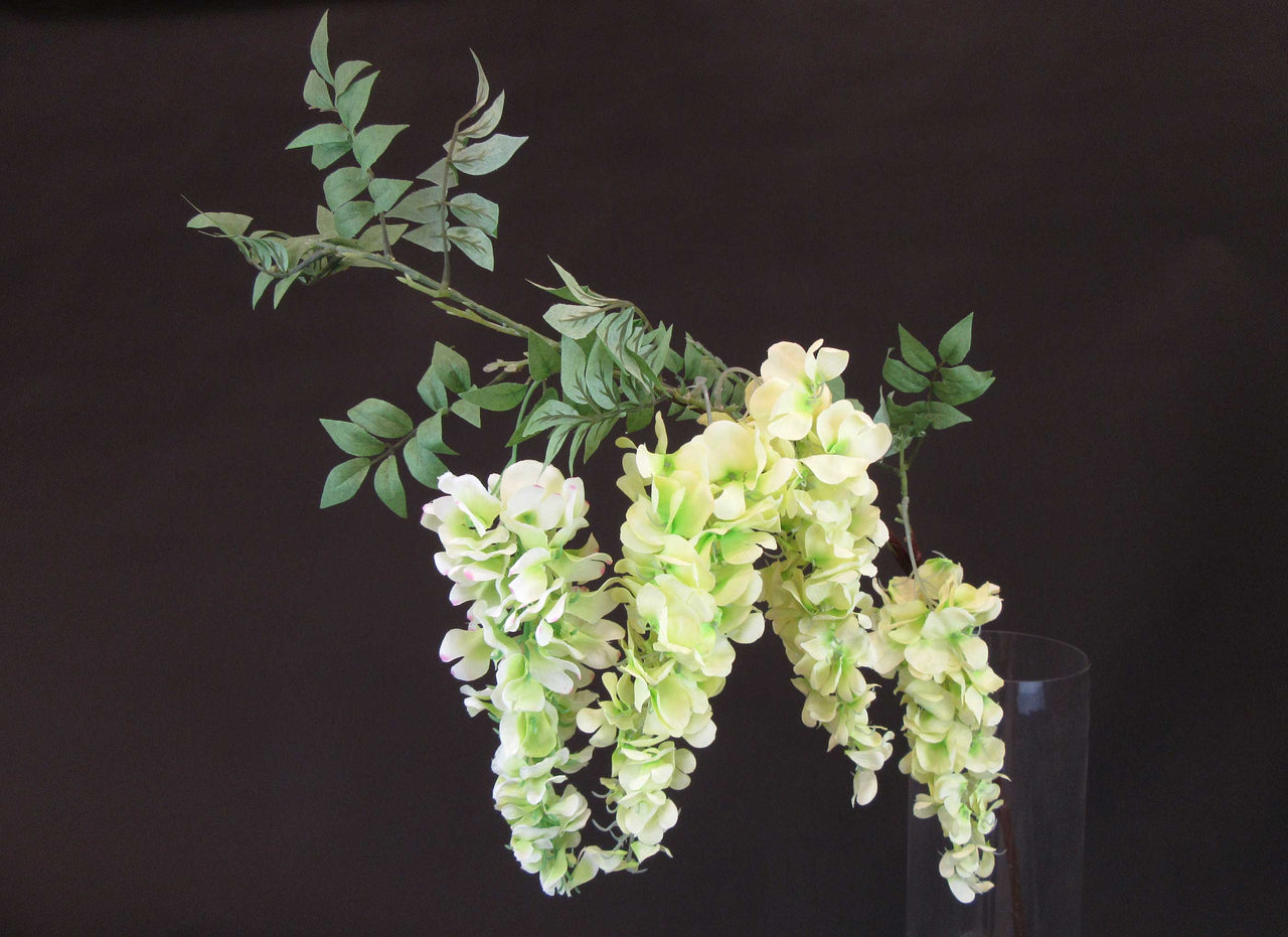 HCFL5645 - Long Stem 5 Bud Green Wisteria