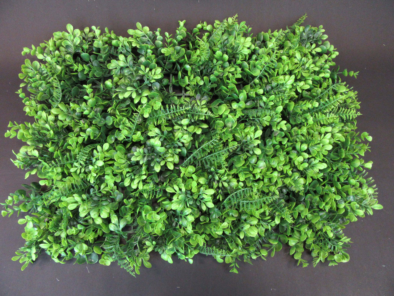 HCFL5804 - Green Fern Wall Panel