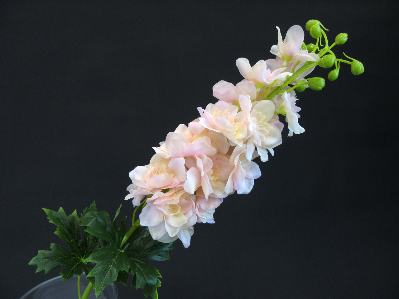 HCFL5859 - Pink Long Stem Delphinium