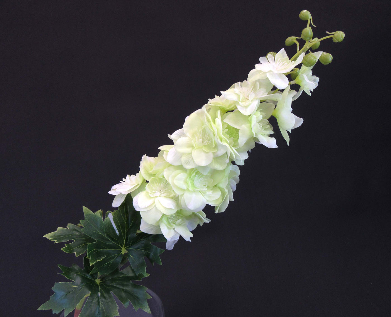 HCFL5860 - Green Long Stem Delphinium