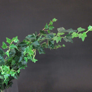 HCFL5929 - Climbing Ivy Hanging Bouquet