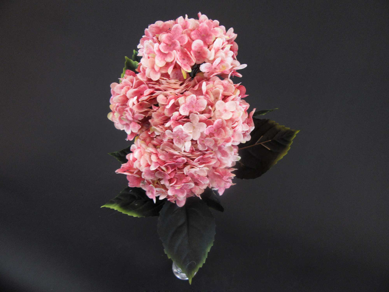 HCFL5997 - Peach Cherry Blossom Hydra Bouquet\