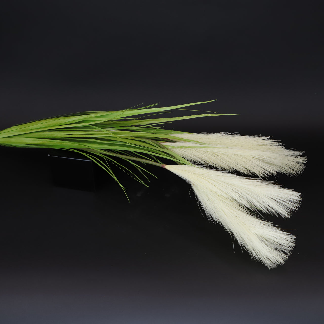 HCFL6051 - Cream Pampas Grass Short