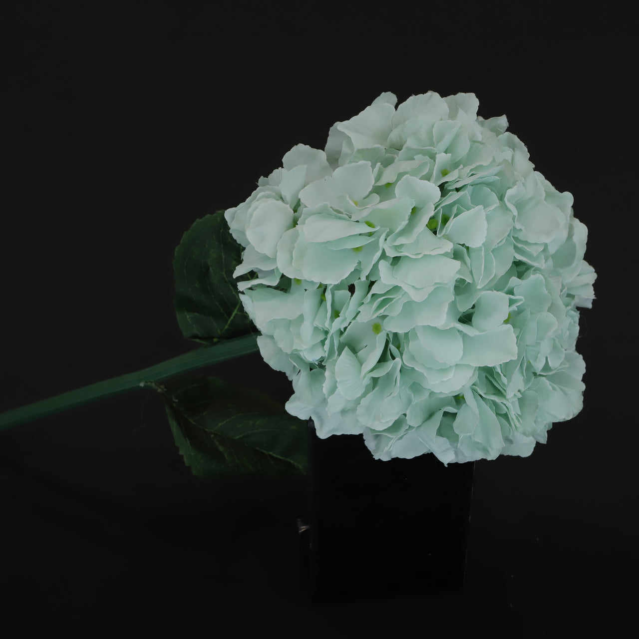 HCFL6347 - MInt Green Long Stem Hydrangea