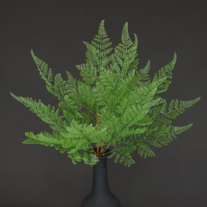 HCFL6360 - Maidenhair Fern