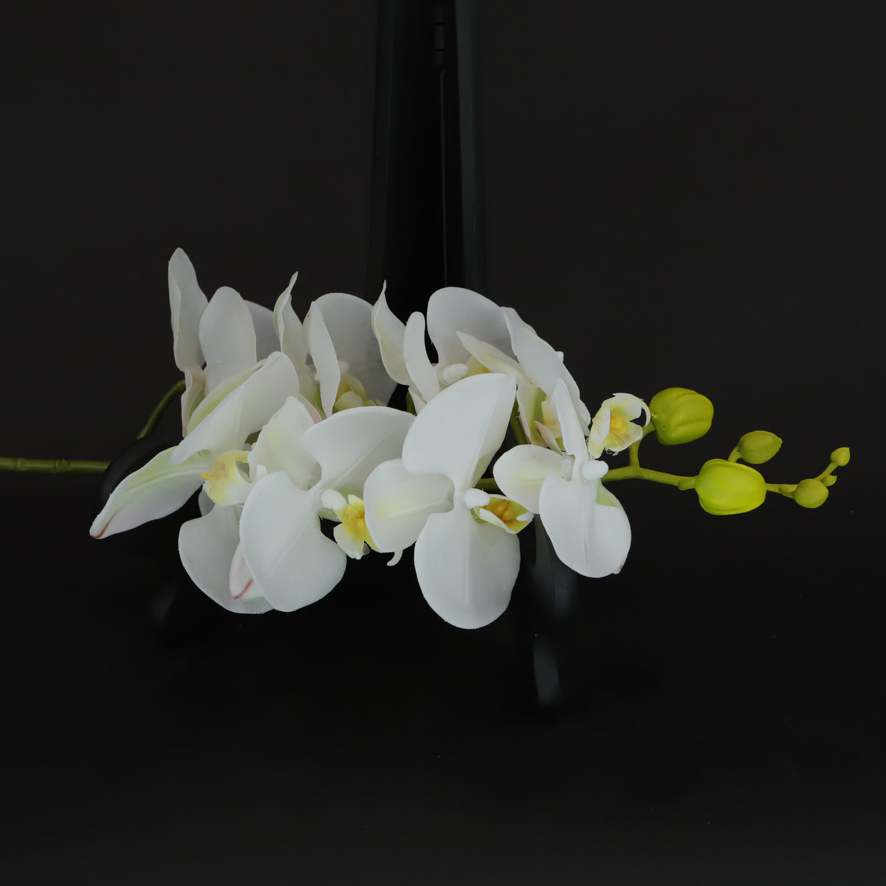 HCFL6365 - L White Long Stem Orchid