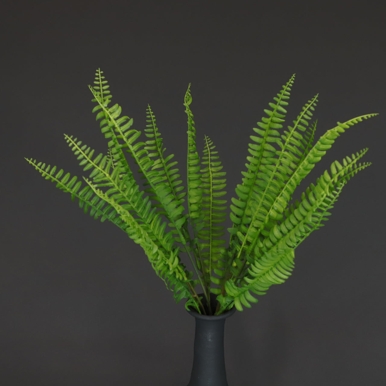 HCFL6647 - Green Boston Fern