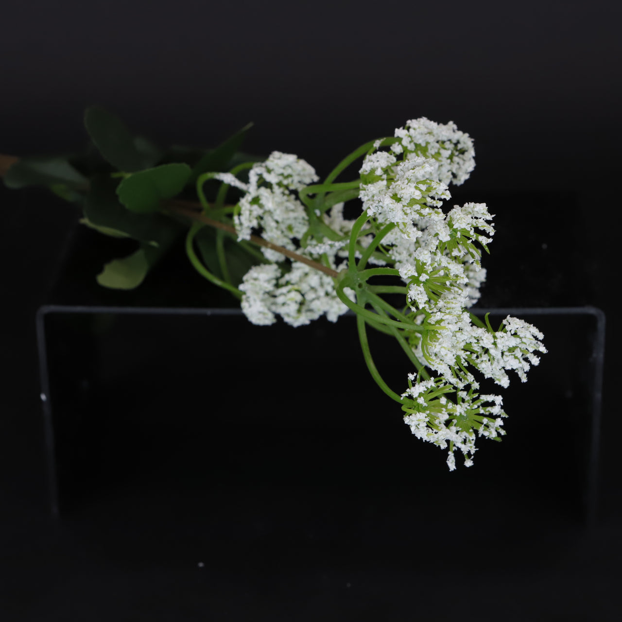 HCFL6657 - White Aniseed Bouquet