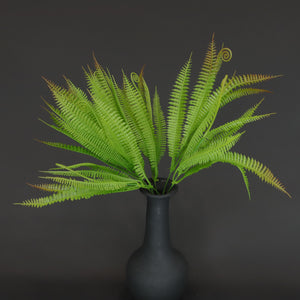 HCFL6665 - Red Tipped Lady Fern