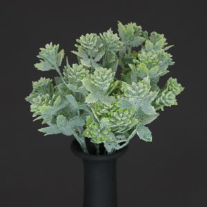 HCFL6668 - Green Kalanchoe Bouquet