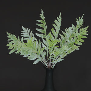 HCFL6684 - White Western Sword Fern