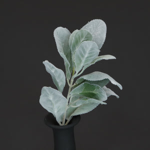 HCFL6686 - Green Woolly Lamb's Ear