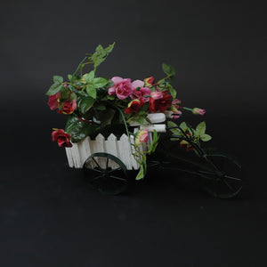 HCFL6982 - Burgundy Rose Bicycle Pot