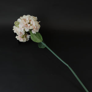 HCFL7237 - Mixed Pink Long Stem Hydrangea