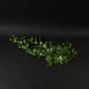 HCFL7254 - Trailing White Devil's Ivy