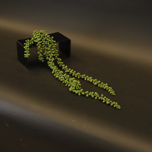 HCFL7530 - Dk Green String of Pearls