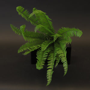 HCFL8010 - Boston Fern Bouquet