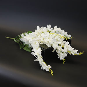 HCFL8029 - White Delphinium Bouquet