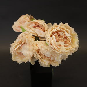 HCFL8047 - XL Champagne Peony Bouquet