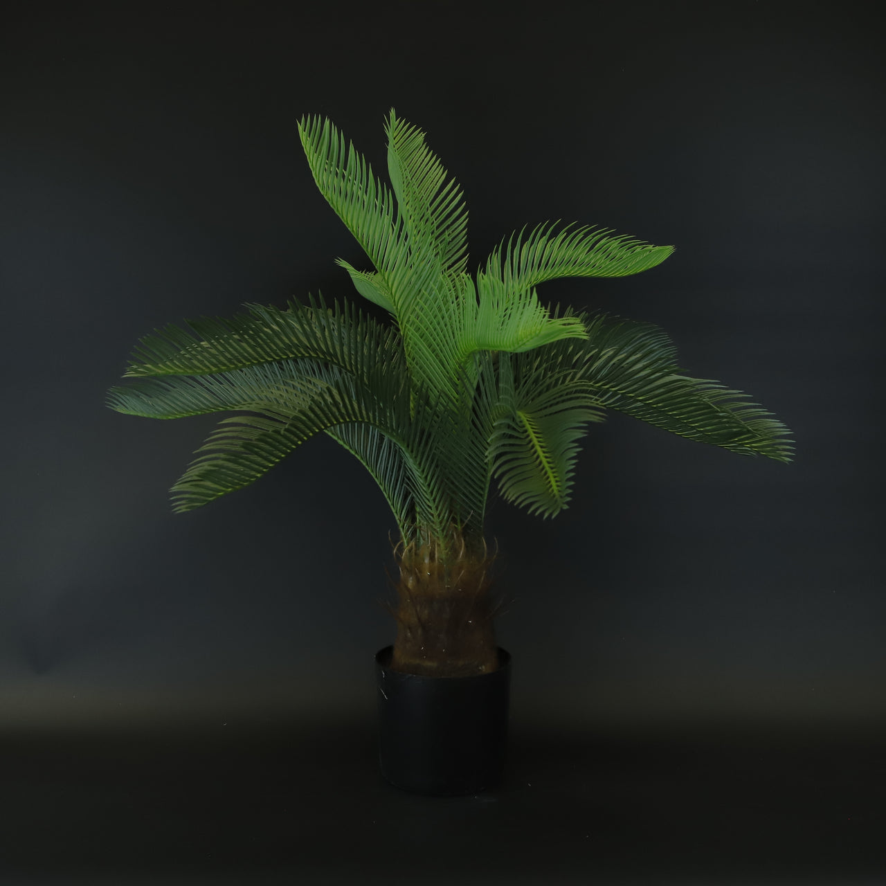 HCFL8377 - Pineapple Palm Tree