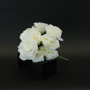 HCFL8379 - White M Rose Bq