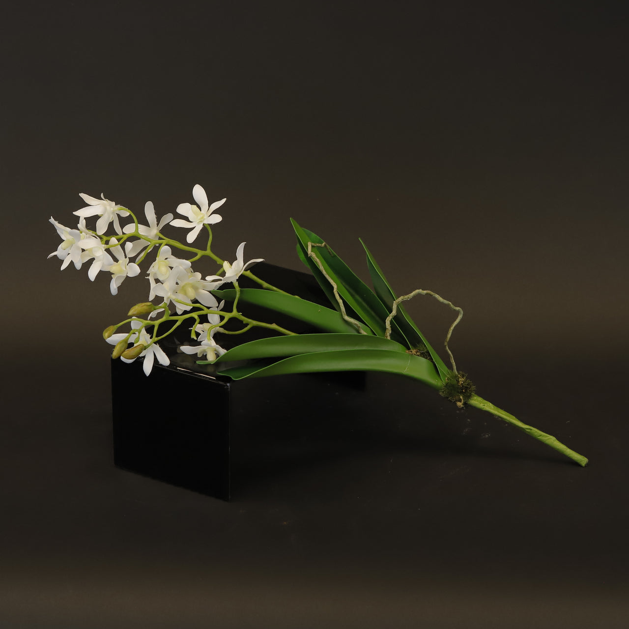 HCFL8407 - Tiny White Orchid Bq